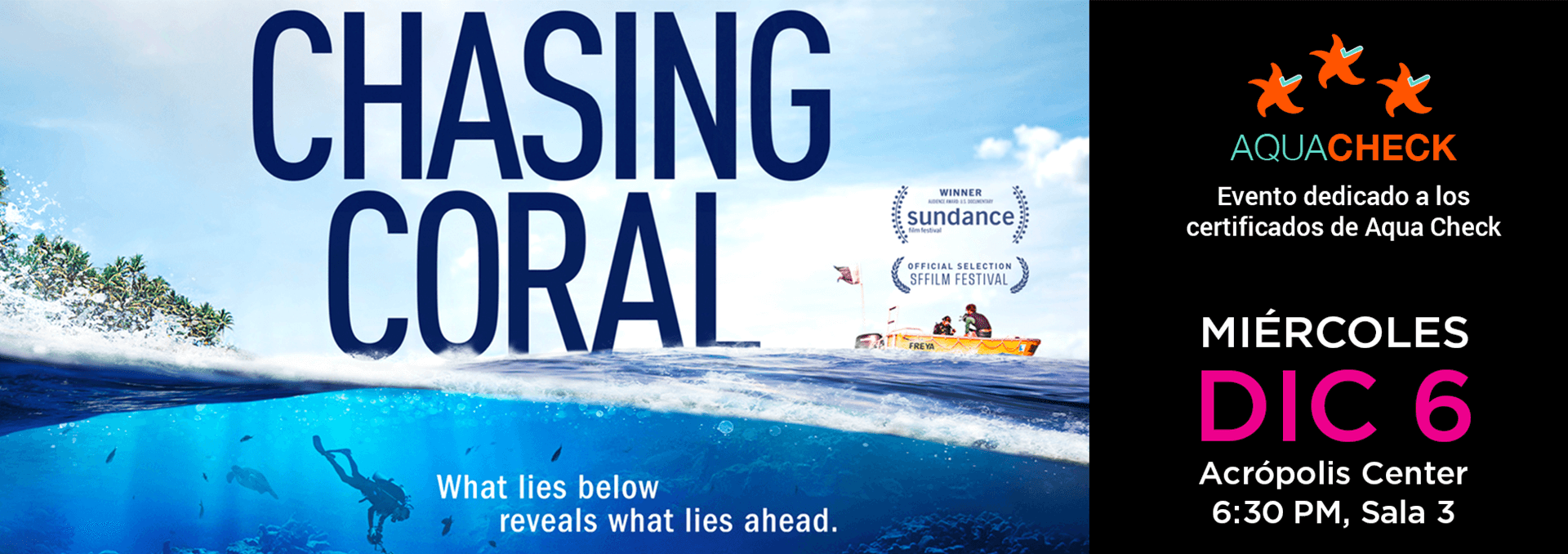 Portada_Chasingcoral (1)